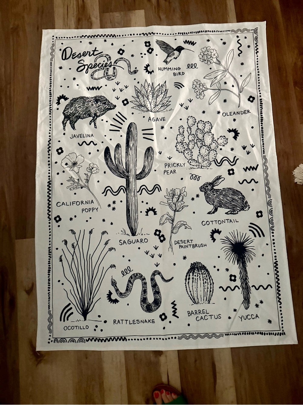 Urban Outfitters Desert Species tapestry - wall decor